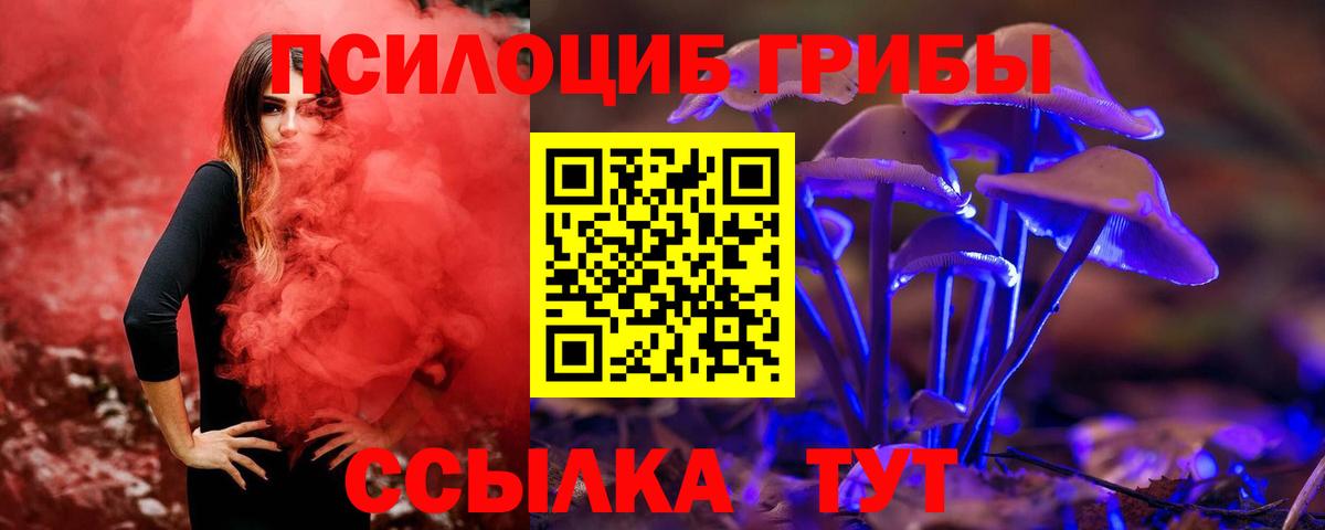Псилоцибиновые грибы Cubensis  Вход с VPN  Галлюциногенные грибы Psilocybine cubensis  Семилуки 